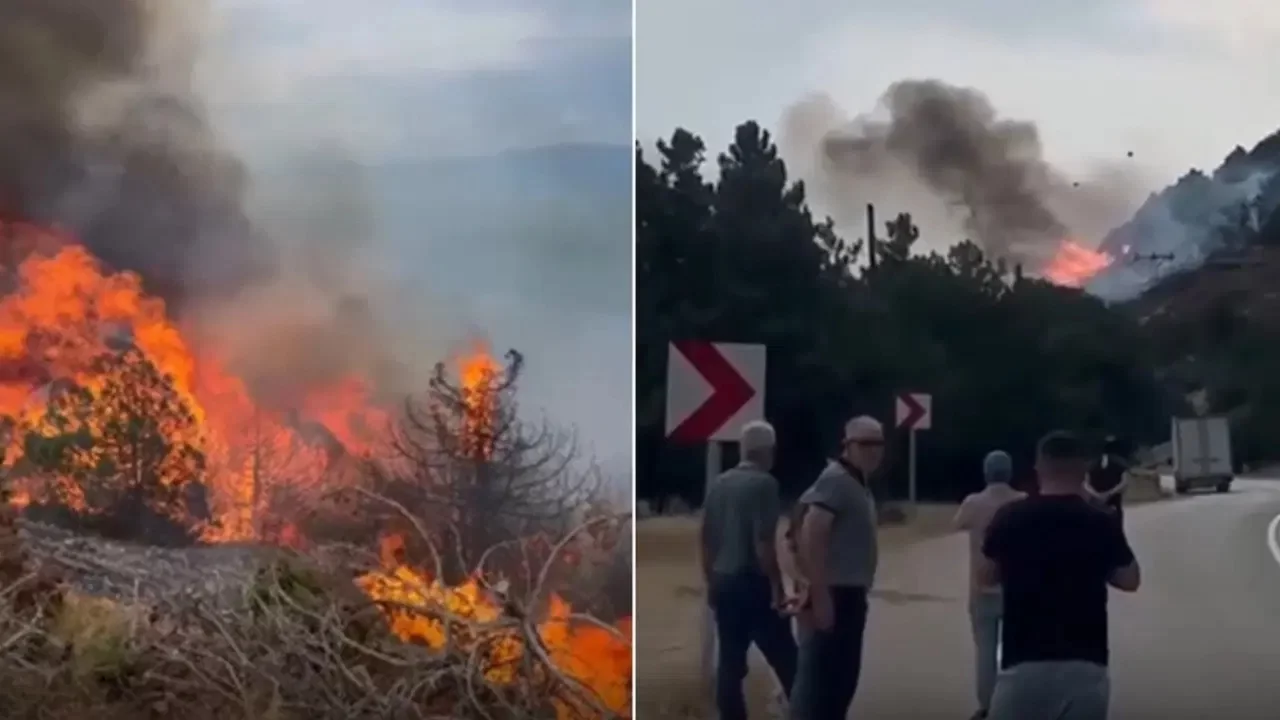 Isparta'da orman yangını