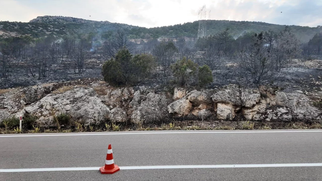 Isparta çıkan orman yangını kontrol altına alındı