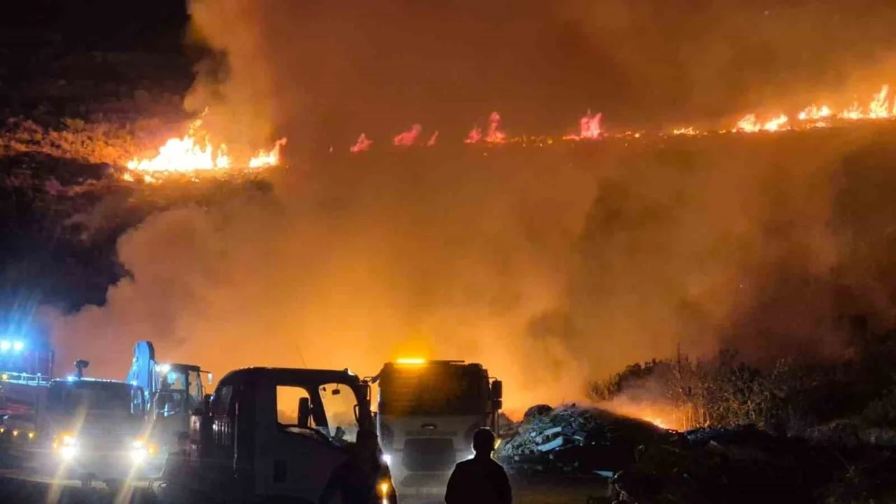 Muğla'da makilik alanda yangın