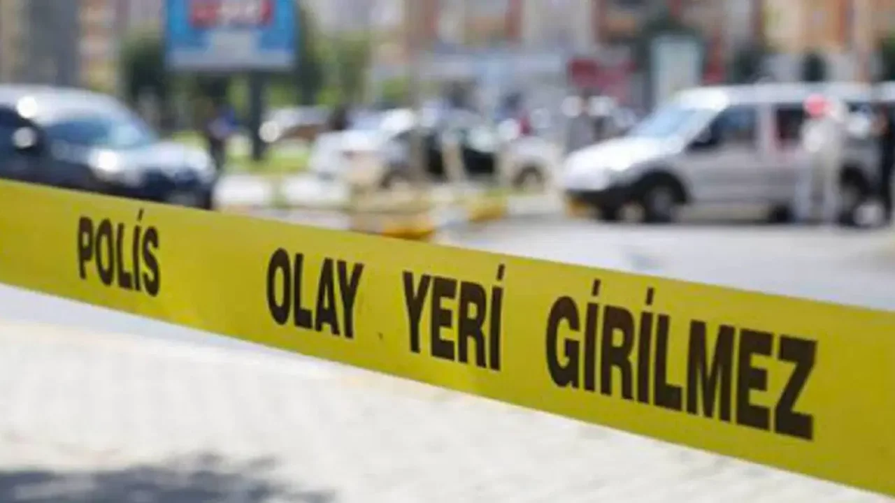 Kardeş dehşeti! Tartıştığı ağabeyini öldürdü
