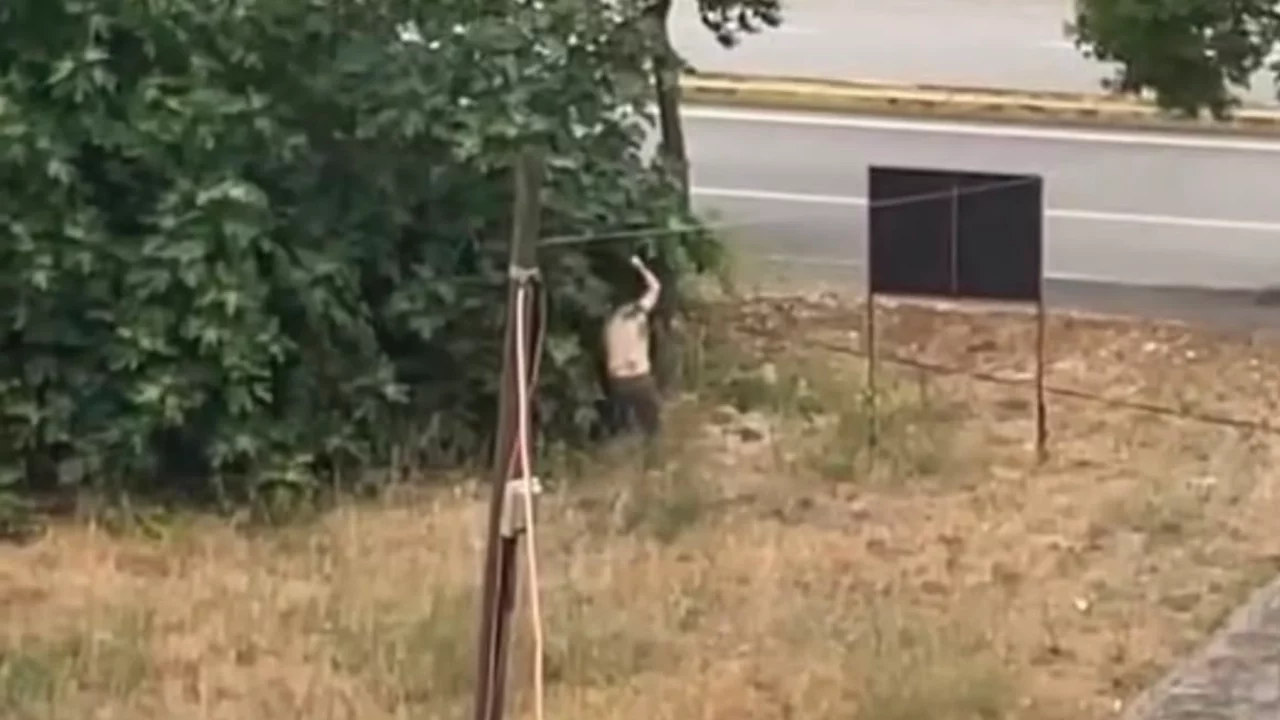 Kocaeli'de tartıştığı amcasını palayla öldürdü