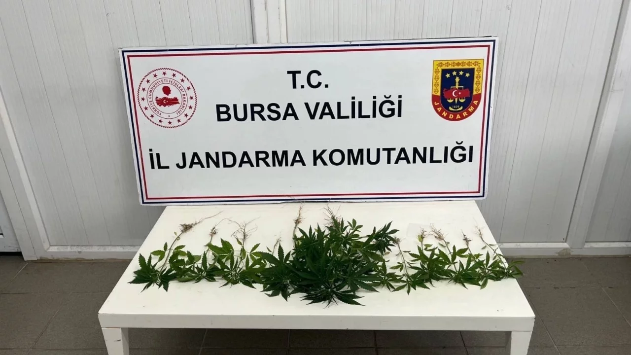 Bursa'da uyuşturucu operasyonu! 3 şüpheli yakalandı
