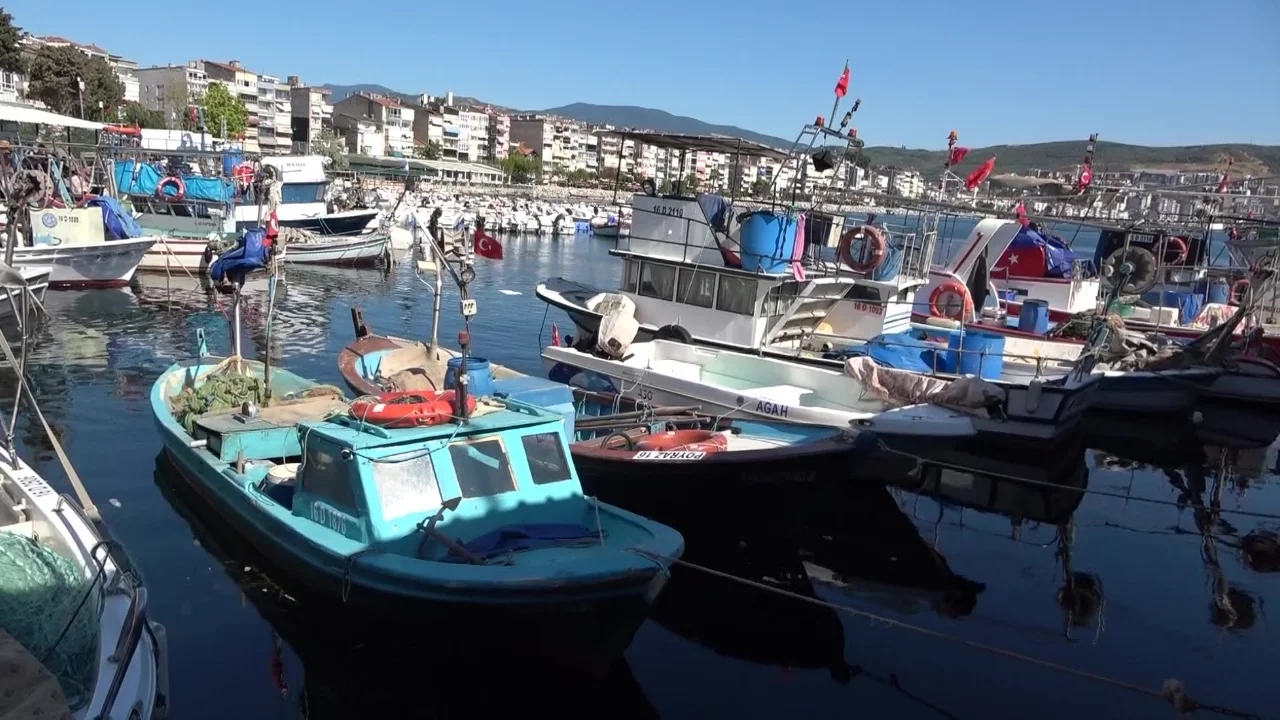 Bursa'nın emektar balıkçıları müsilaj ve bilinçsiz avlanmaya çözüm bekliyor