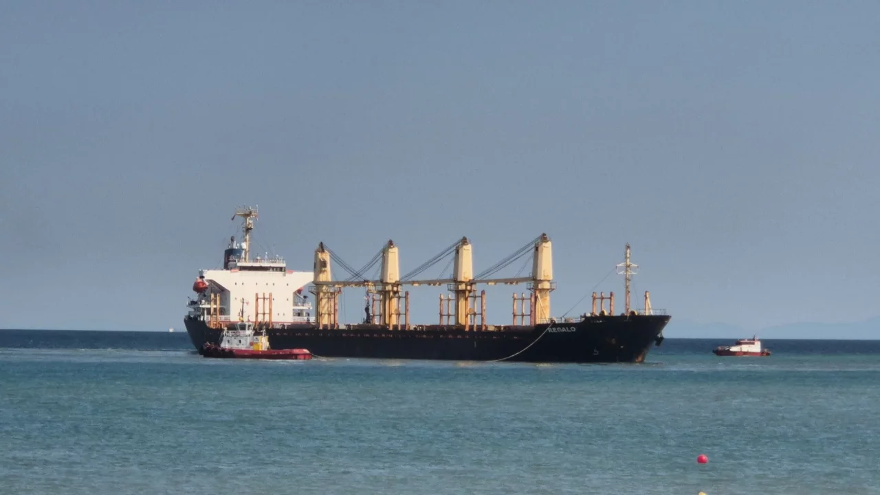 Tekirdağ açıklarında 169 metrelik gemi karaya oturdu