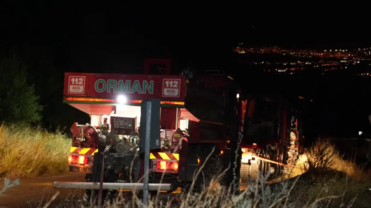 Pamukkale'de orman yangını