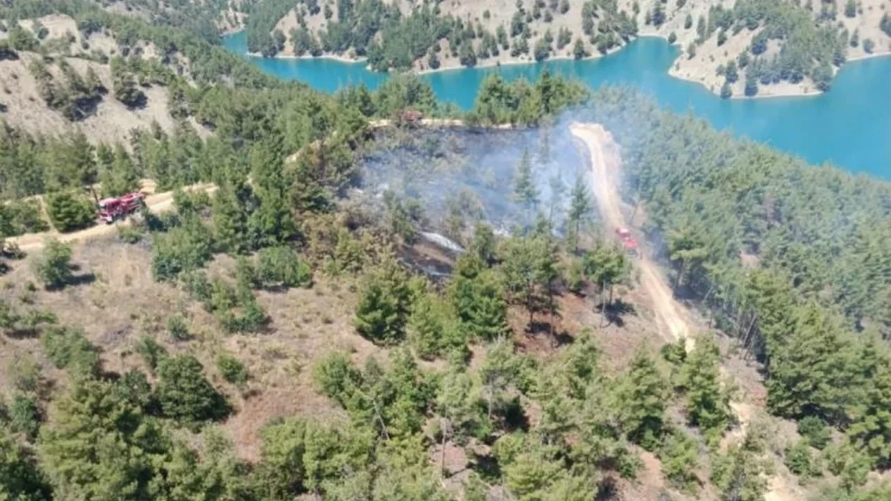 Kahramanmaraş'ta orman yangını