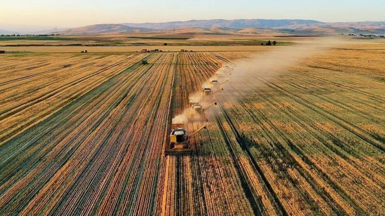 Milyarlarca lira cirosu olan Türk tarım devi iflasın eşiğinde