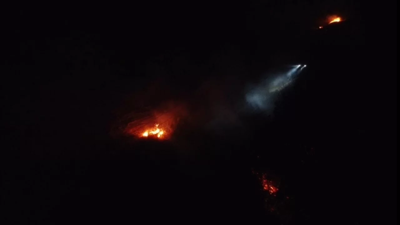 Balıkesir'de gece yarısı orman yangını