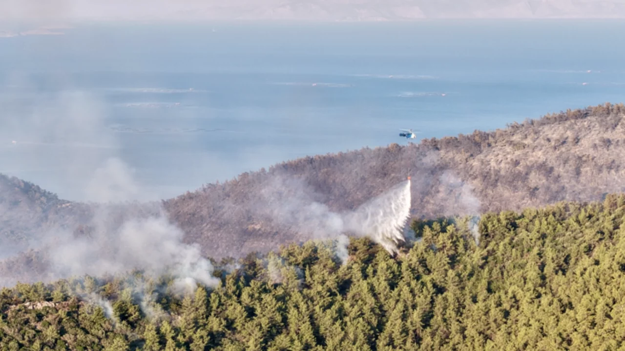 Muğla'da orman yangını!