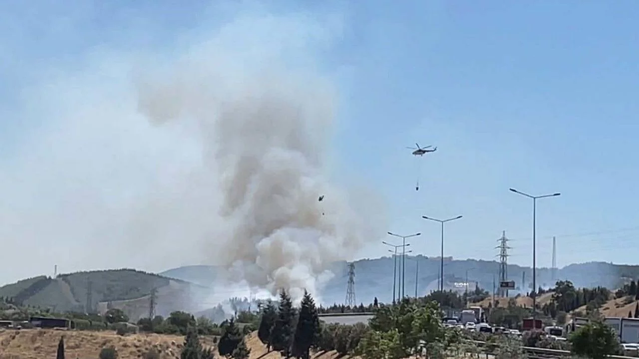 İzmir'de yangın ormana sıçradı