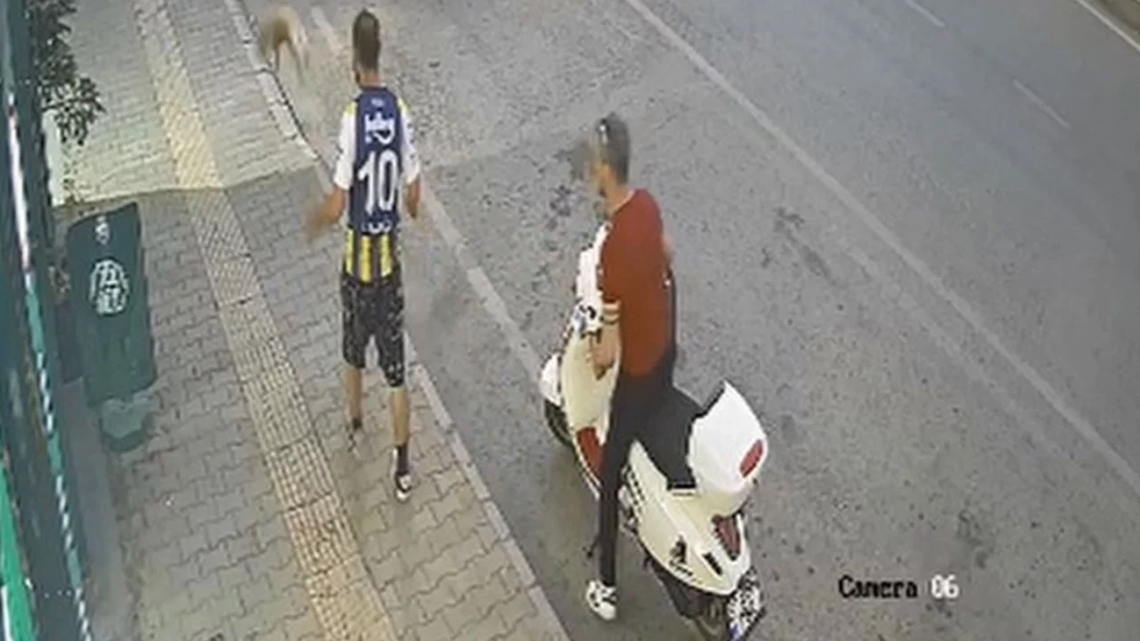 Samsun'da kediye tekme atan şüpheli yakalandı