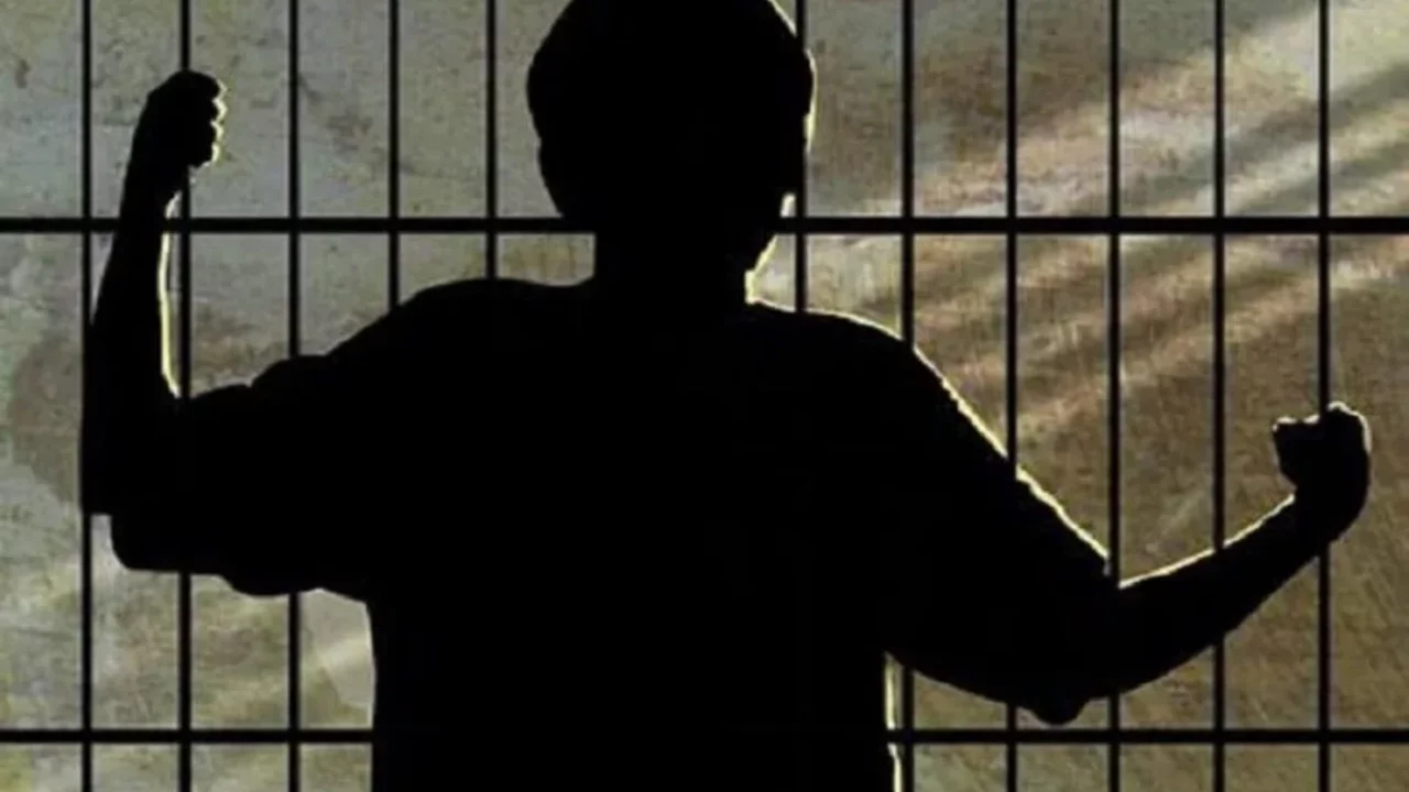 TBMM Adalet Komisyonu'nda 'suça sürüklenen çocuklar' teklifi: Sadece cezaları artırmak suçu önlemez