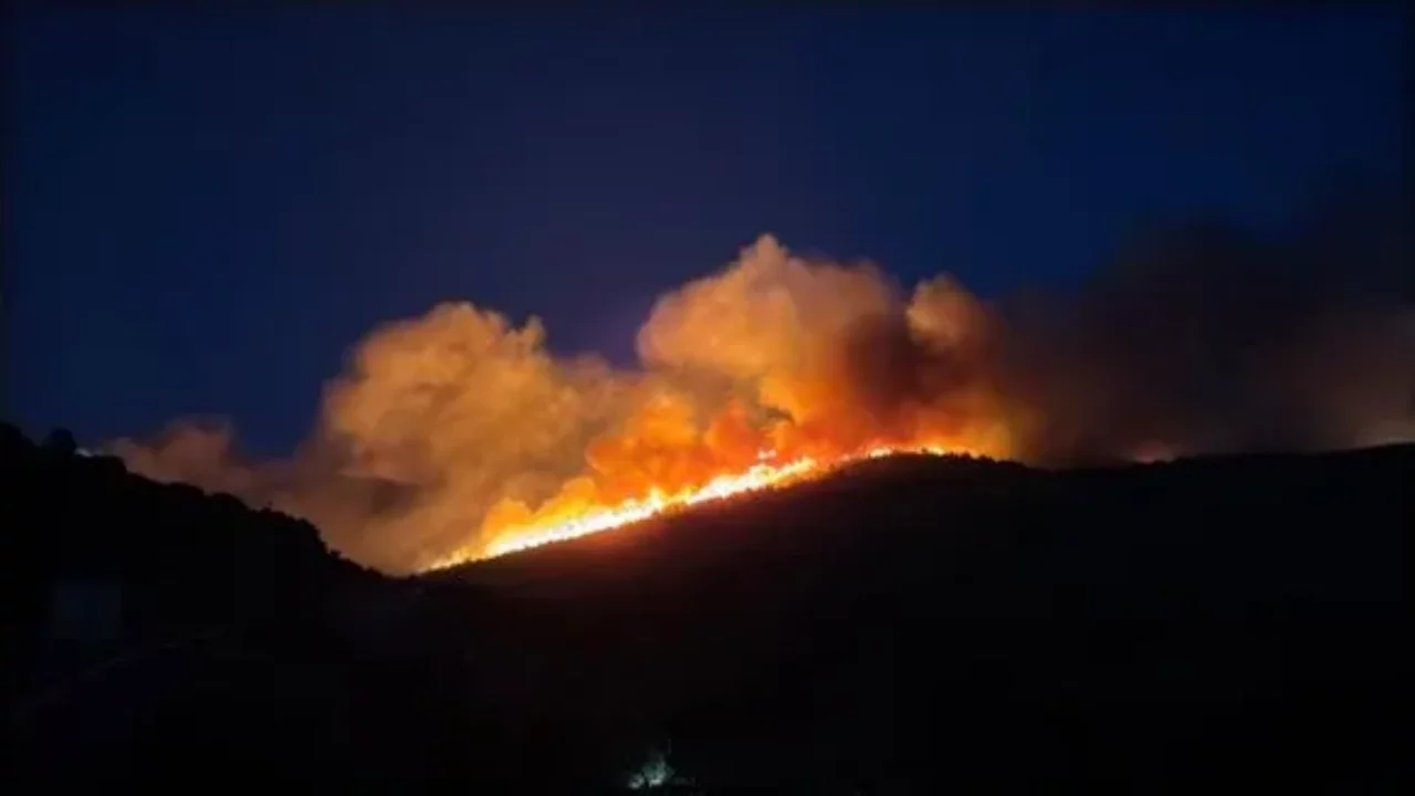 Muğla'nın Milas ilçesinde çıkan yangın ünlülerin evine sıçradı
