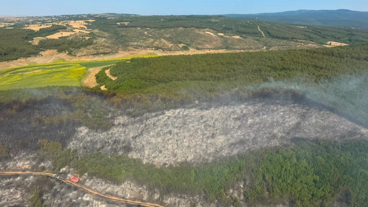 Tekirdağ'da orman yangını