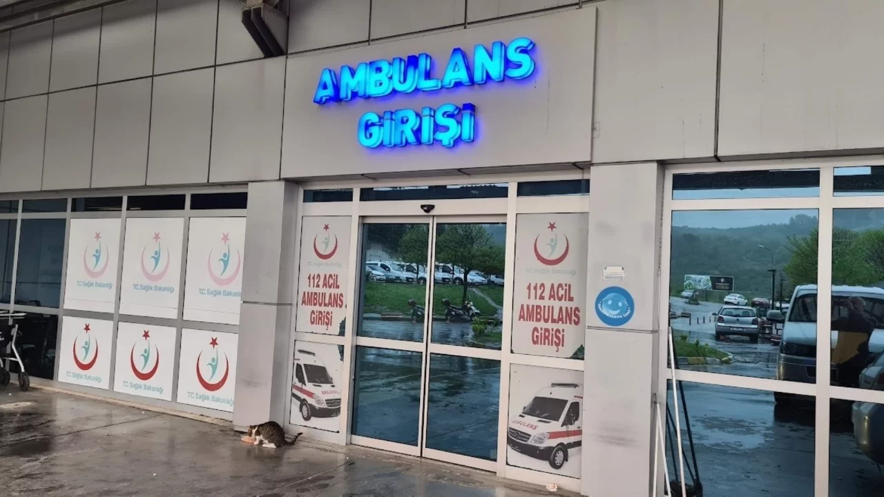Zonguldak'ta bir kadın arı sokması sonucu yoğun bakıma kaldırıldı