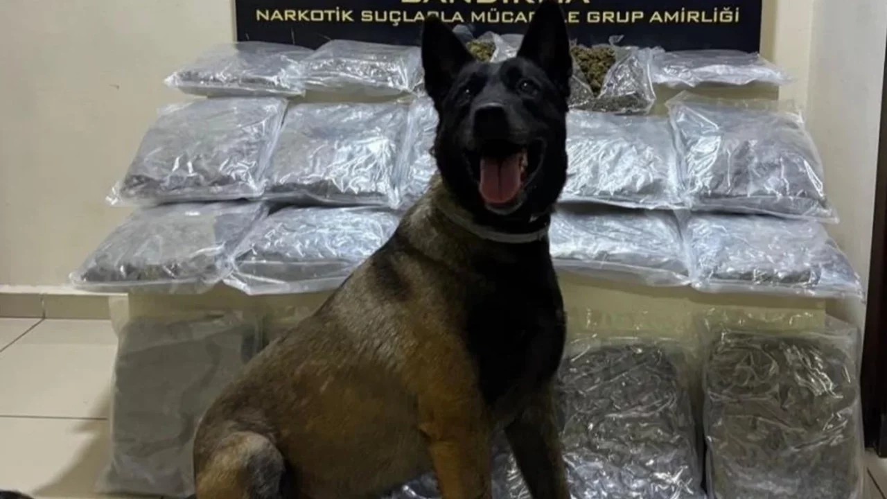 Gübre torbalarının altından 11 kilo uyuşturucu çıktı