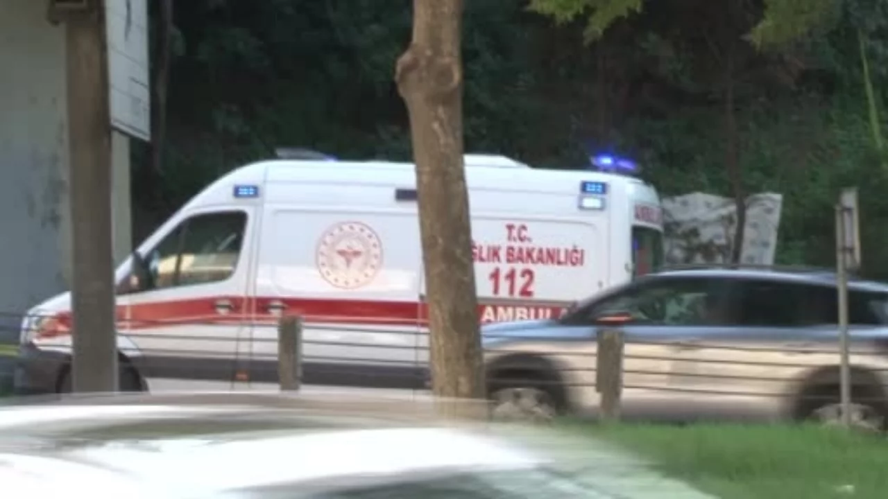 İstanbul'da yol kenarındaki yeşil alanda erkek cesedi bulundu
