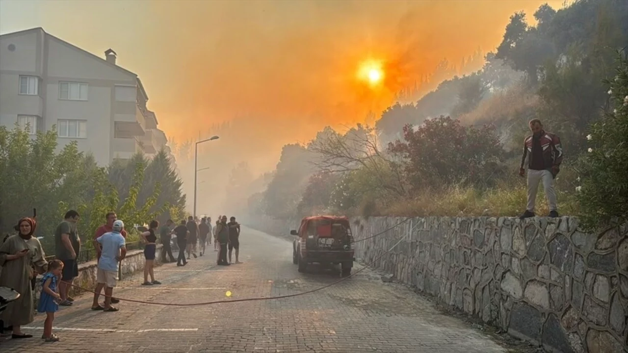 Aydın'da zeytinlik ve makilik alanda çıkan yangına müdahale sürüyor