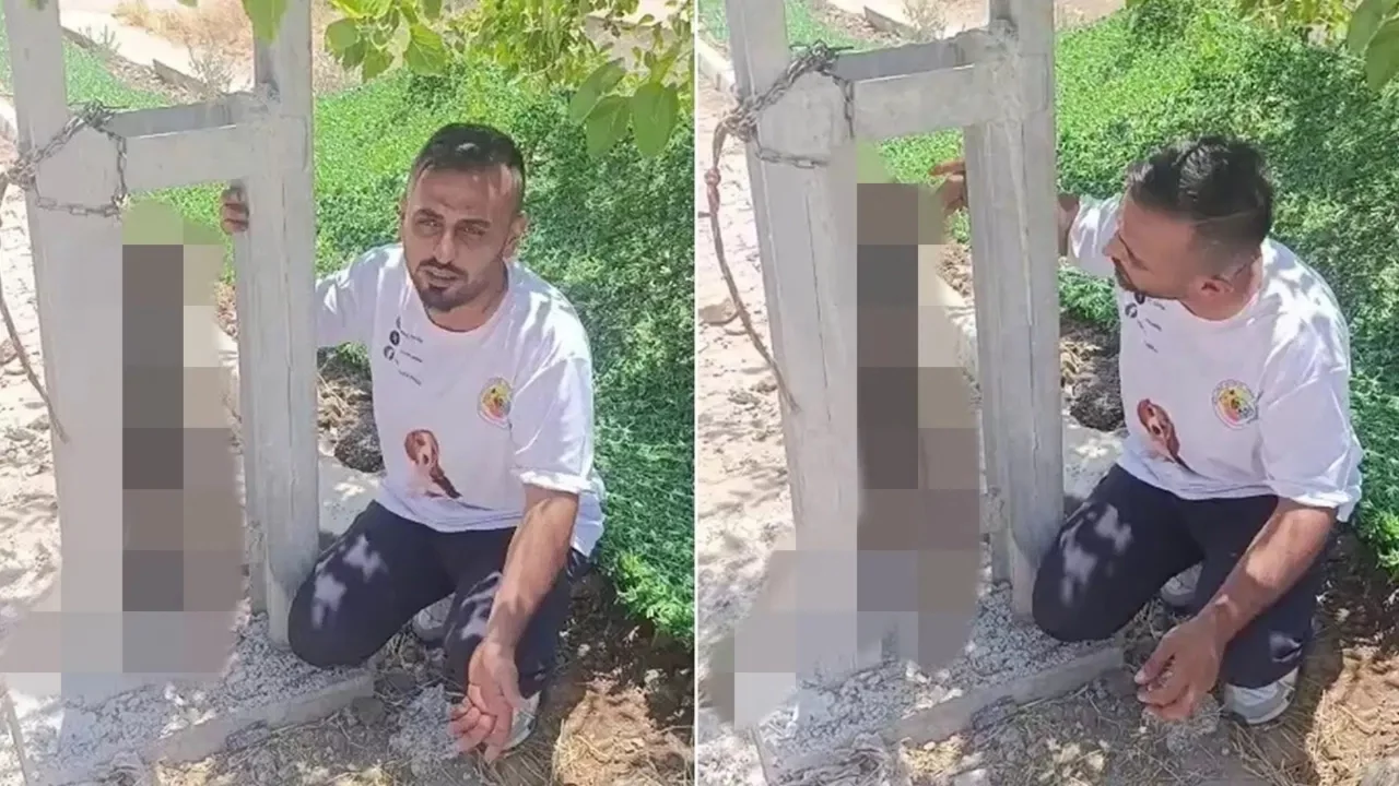 Sahipli köpeği zehirleyip direğe asarak telef ettiler: 'Bunun adı vahşet'