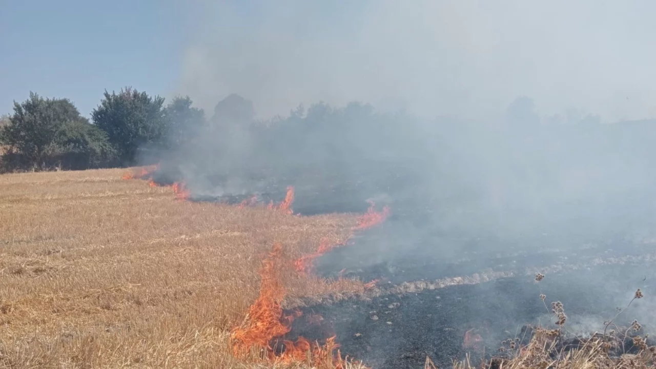 Balıkesir Bandırma'da anız ve çalılık alanda çıkan yangın söndürüldü