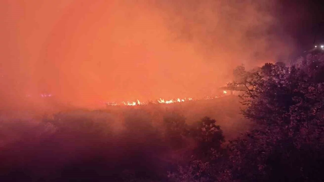 Diyarbakır'da orman yangını: Alevler yerleşim bölgesine ilerliyor