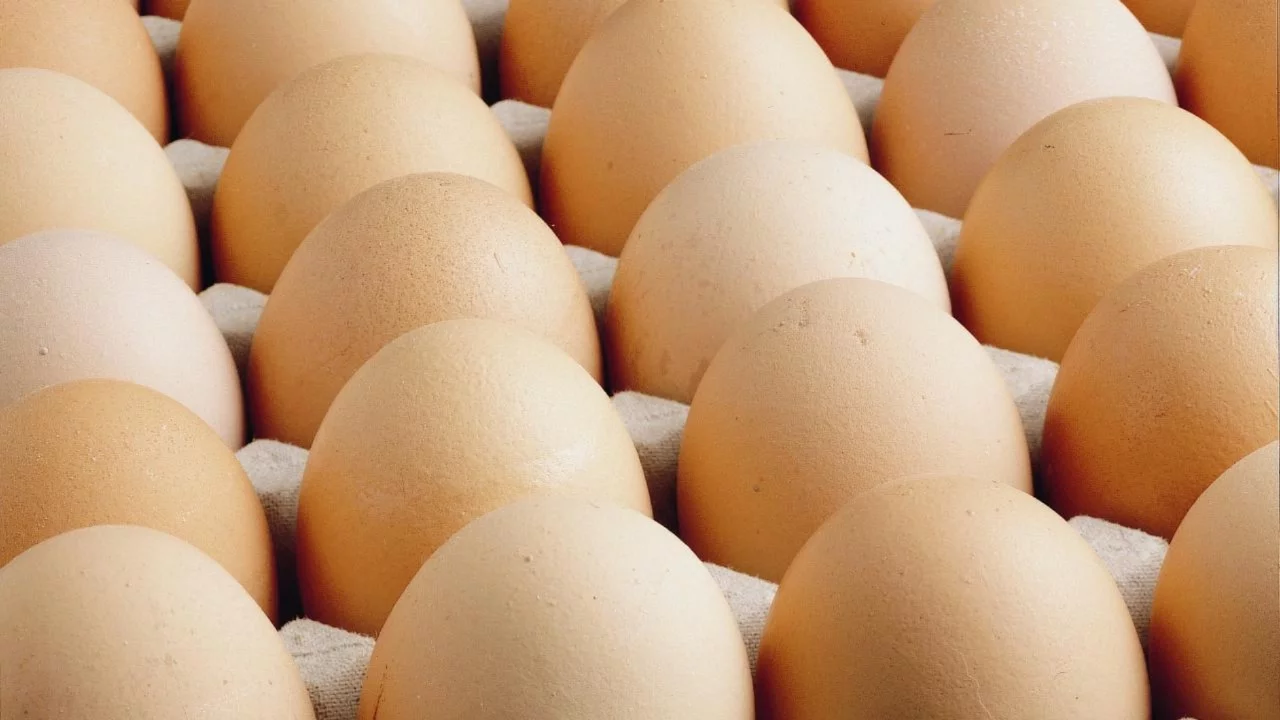 ABD'de milyonlarca yumurta salmonella şüphesiyle geri çağırıldı