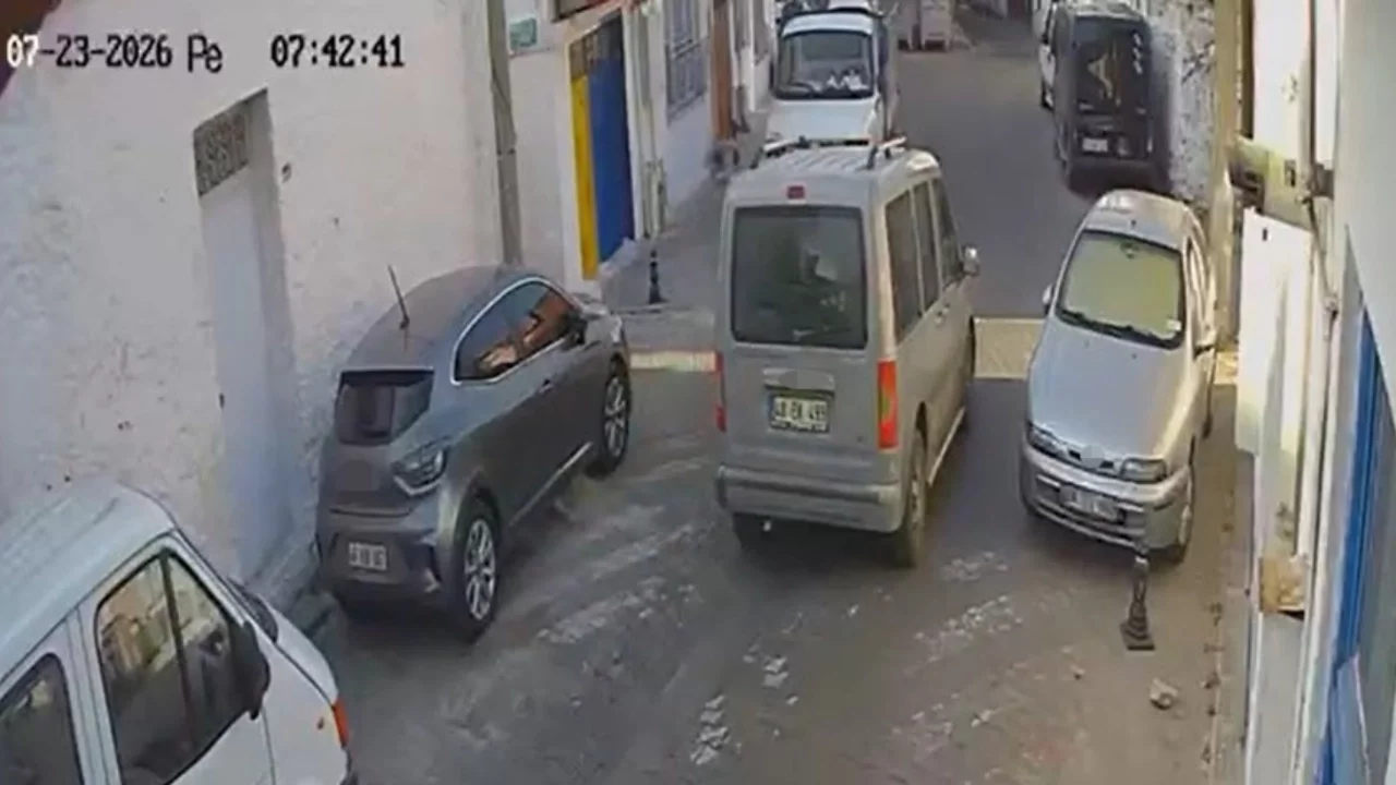 Muğla'da sokak kedilerini ezen sürücü arkasına bile bakmadan kaçtı