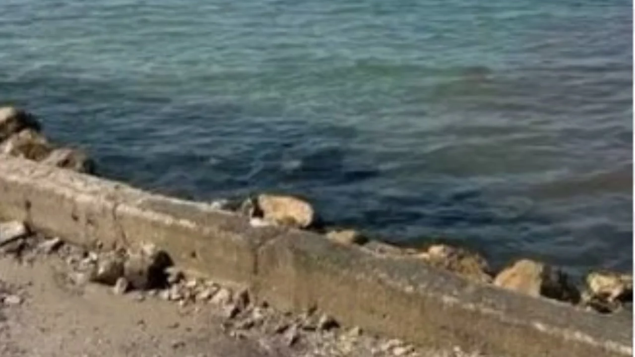 Mudanya Belediyesi'nden denize akan su görüntüleriyle ilgili açıklama