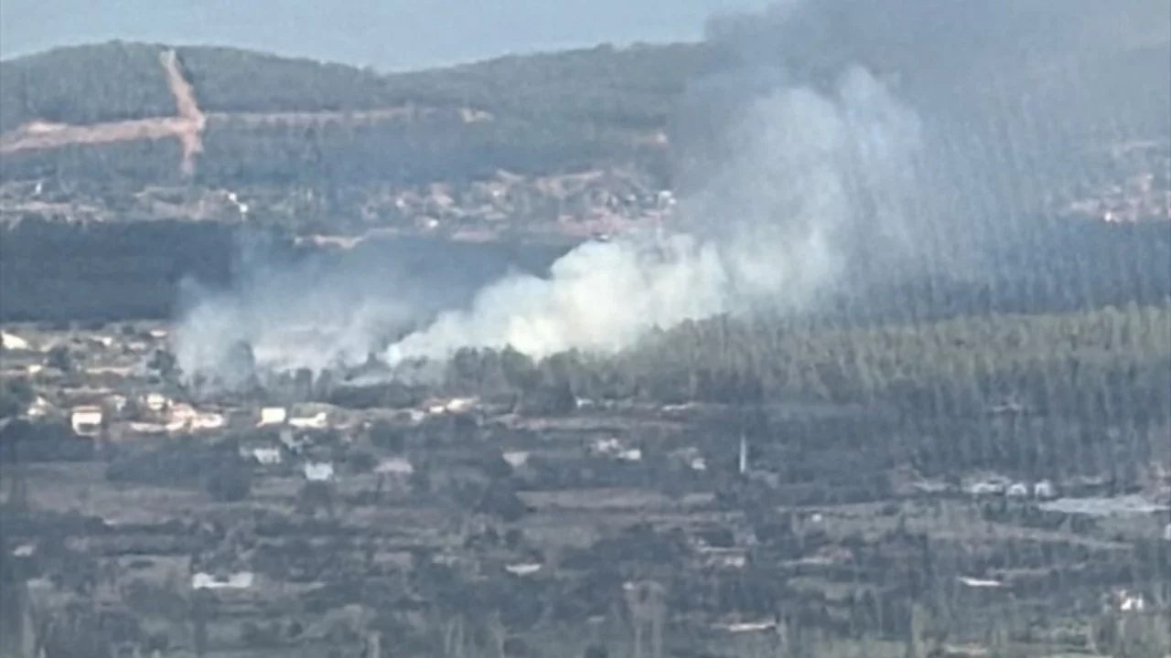 Muğla'da orman yangını