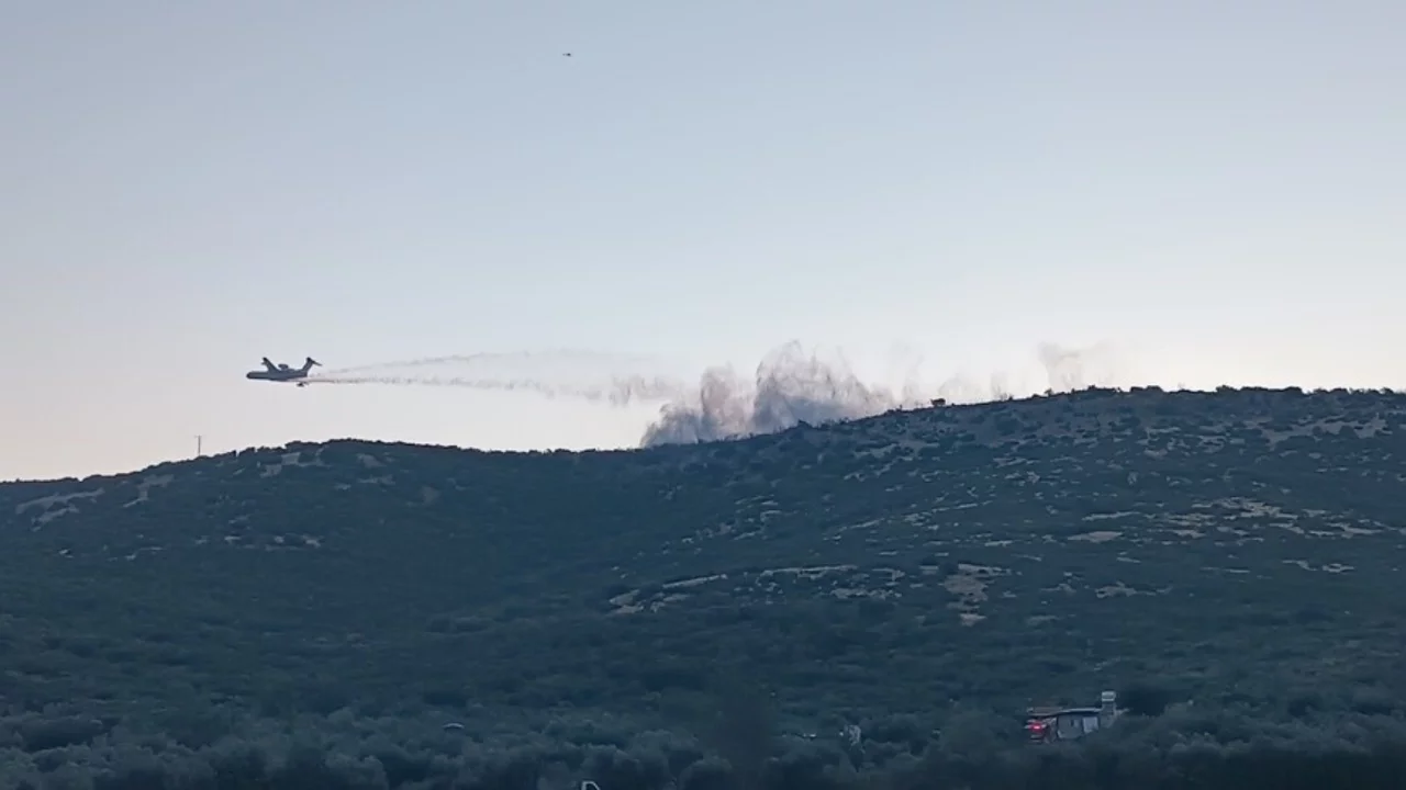 İzmir'de çıkan orman yangınına müdahale ediliyor