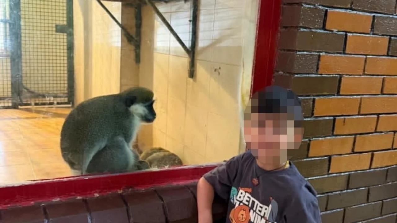 Havuzda boğulma tehlikesi geçiren çocuk yaşam mücadelesini kaybetti