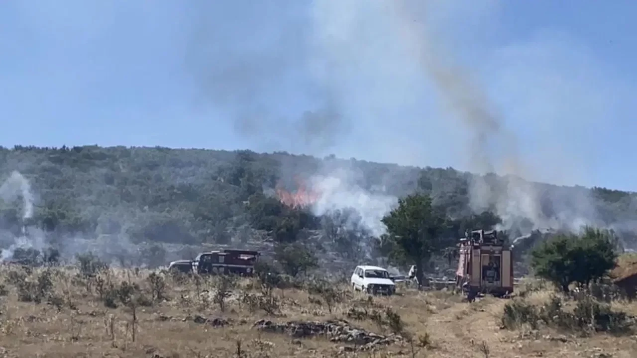 Arıcının tütsüsü ormanı yaktı! Ekipler arıların saldırısına uğradı