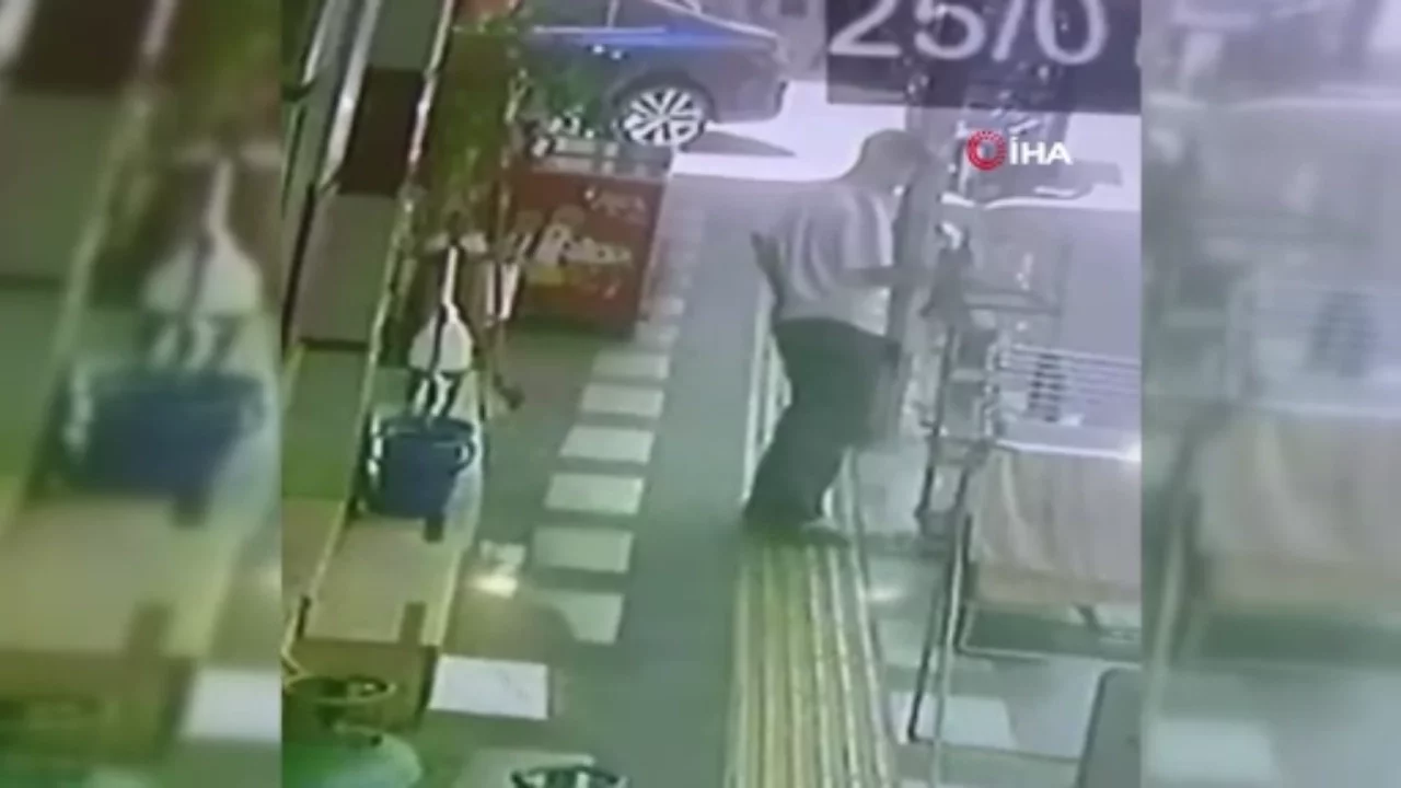 Kafesteki papağanı çalıp kayıplara karıştılar