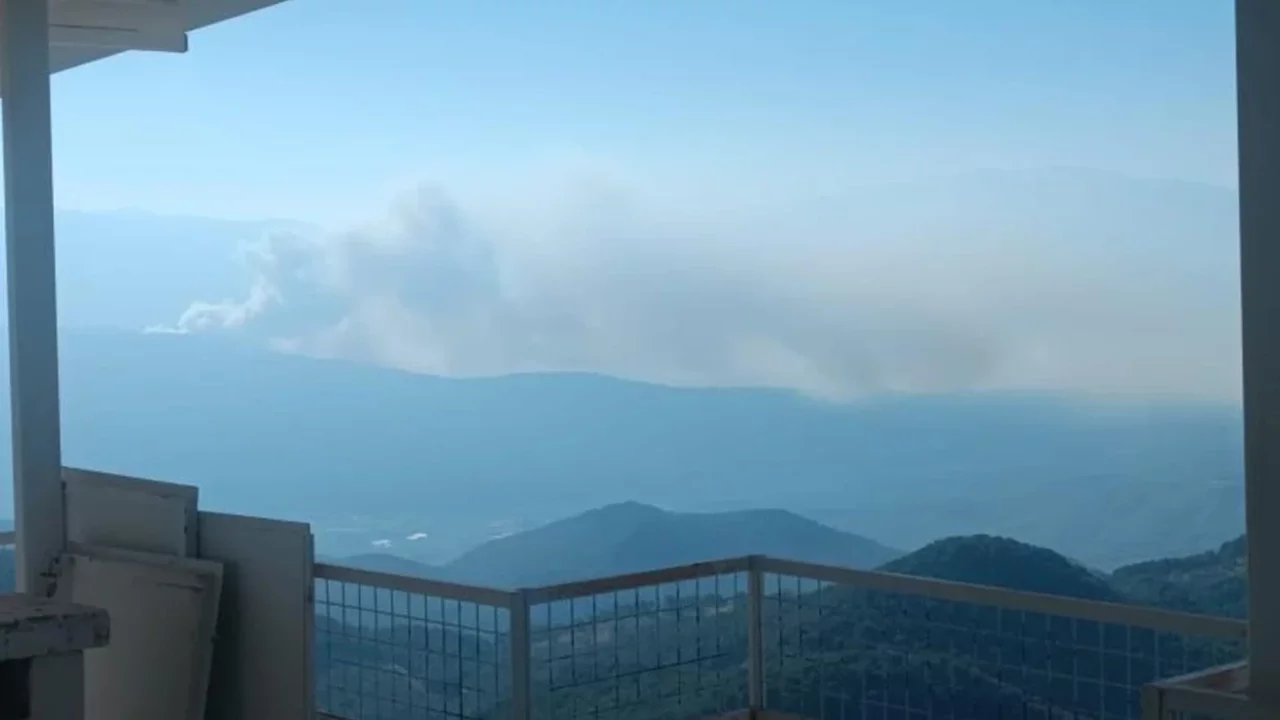 Muğla'da orman yangını