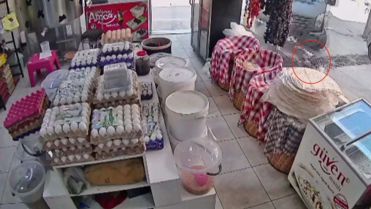Bursa'da kamyonetinin çarptığı 4 yaşındaki çocuk aracın altından emekleyerek çıktı