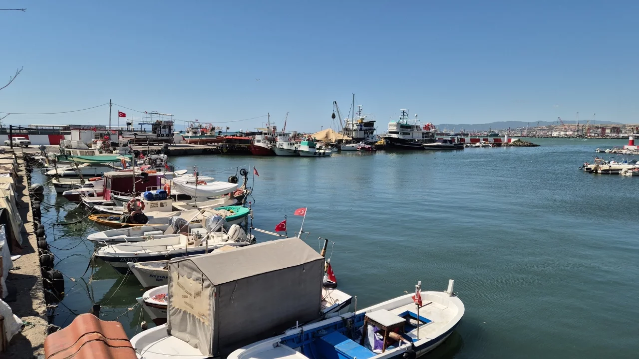 Denizde balık patlaması bekleniyor
