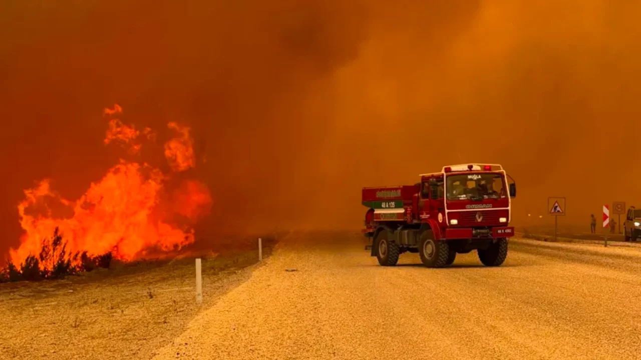 Türkiye'nin dört bir yanında yangın! Alevlerle mücadeleye rüzgar engeli
