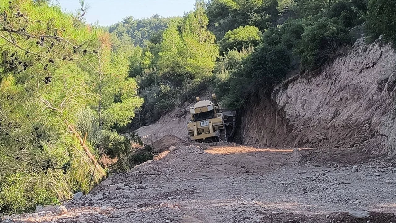 Osmaniye'de mahkeme kararına rağmen orman katliamı!