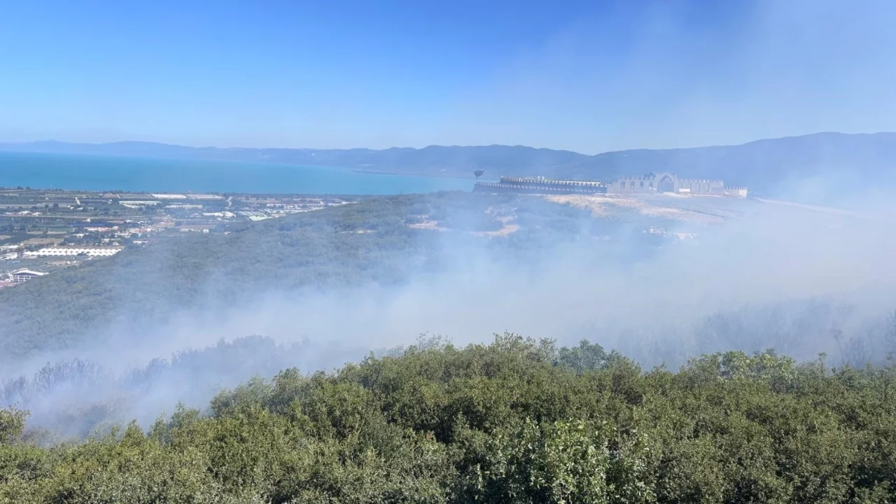 Bursa'da ormanlık alanda yangın!