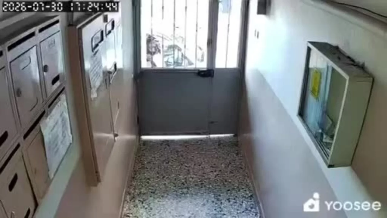 Bursa'da apartman kapısını tekmeleyerek açan kurye şoku!