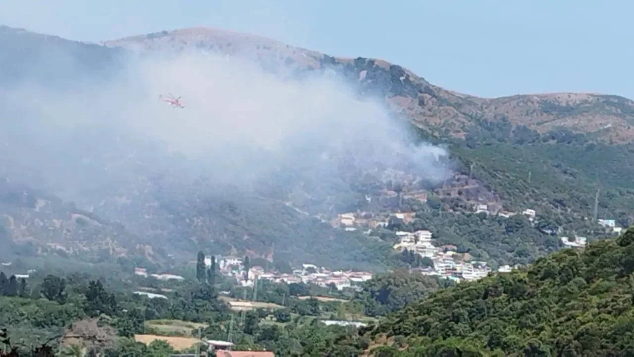 Marmara Adası'ndaki orman yangınıyla ilgili 1 kişi gözaltına alındı