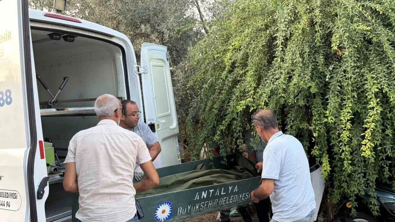 Antalya'da bir kişi evinin merdiveninde ölü bulundu