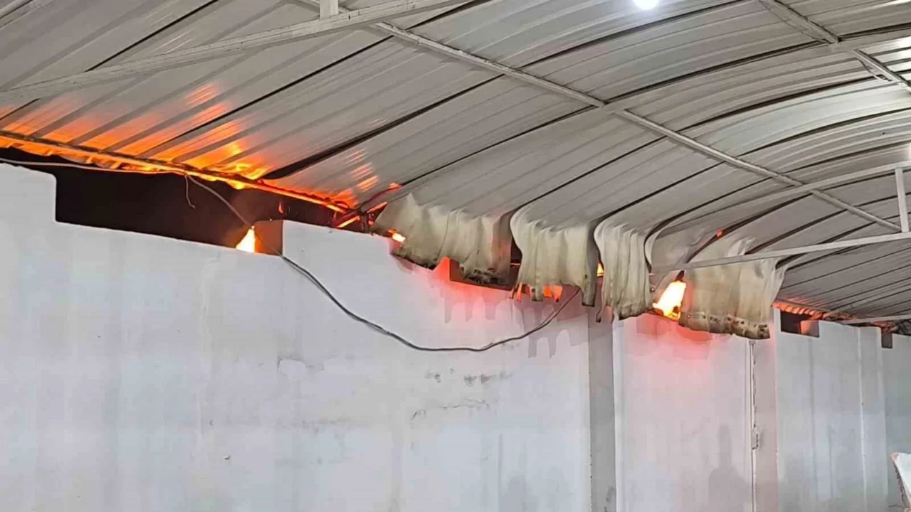 Hatay'da düğünde çıkan yangına aldırış etmeden halaya devam ettiler