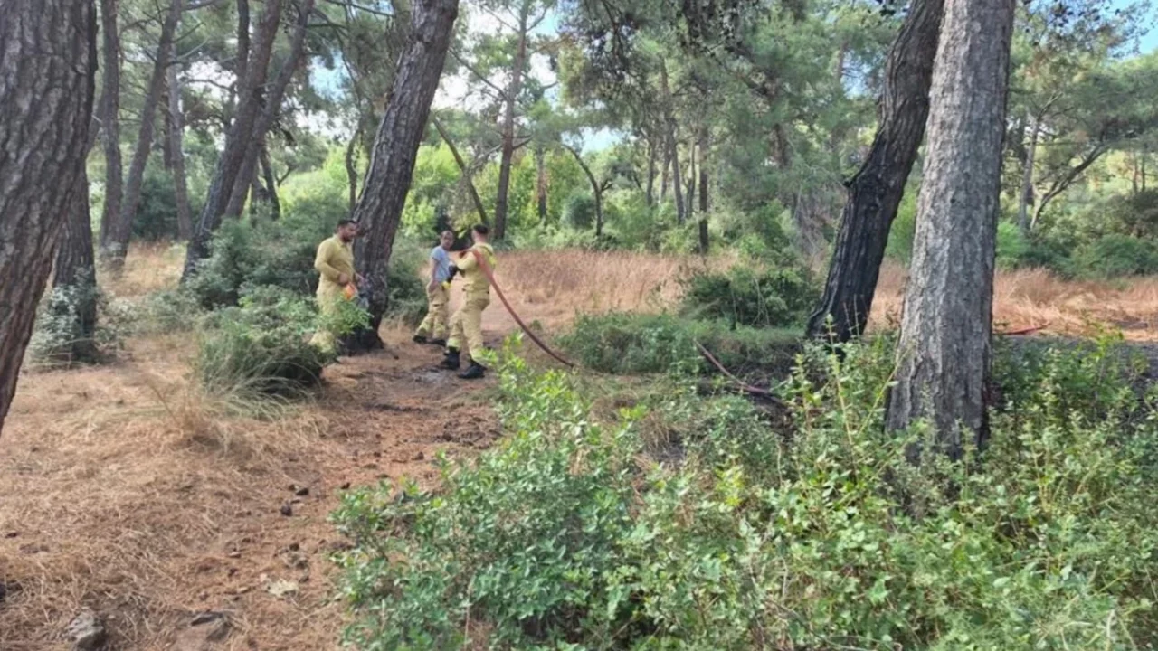Heybeliada'da korkutan orman yangını