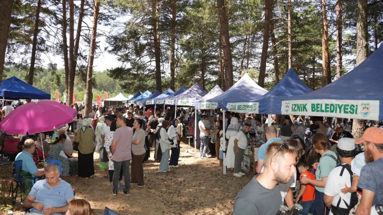 İznik'te 5. Maviyemiş Festivali gerçekleştirildi