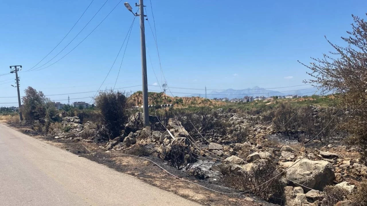 Antalya'da moloz dökerken telleri koparıp yangına neden olan sürücüye ceza