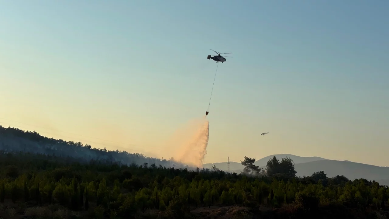 Çanakkale Bayramiç'teki orman yangını kontrol altına alındı