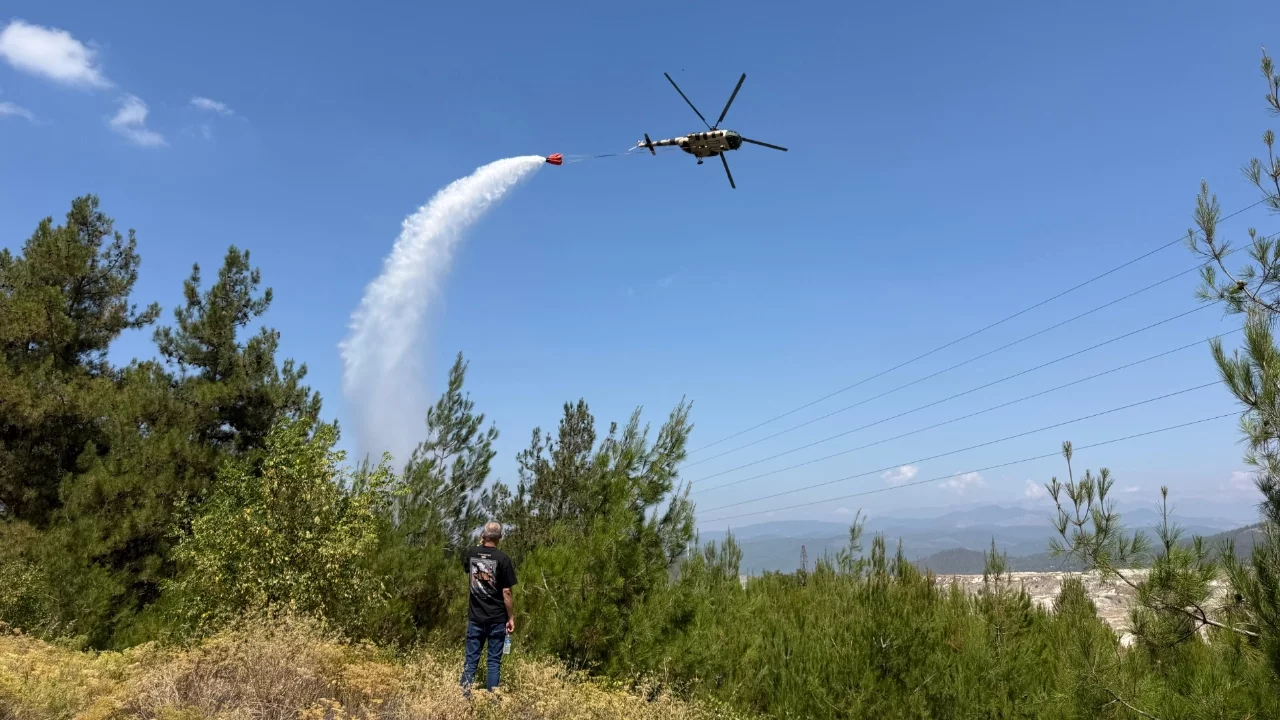 Bursa'da orman yangını