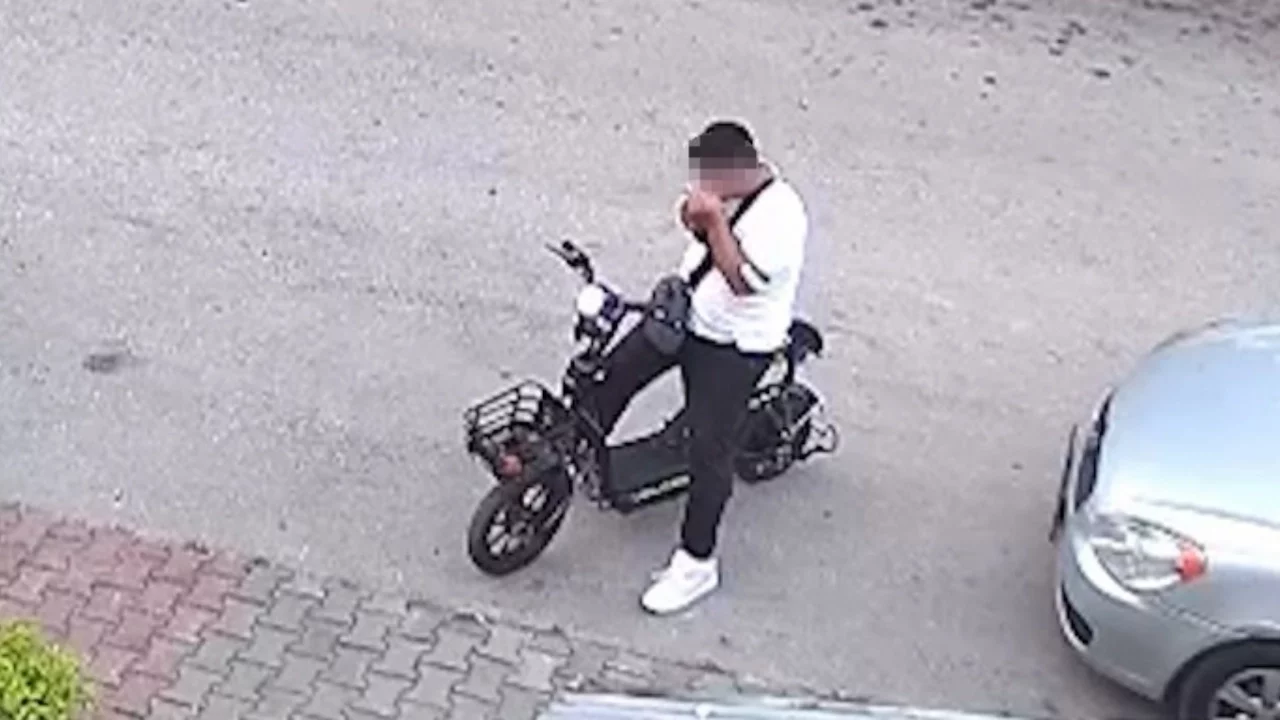 Bolu'da vahşet: Önce sevdiği yavru kediyi sonra boğarak katletti!