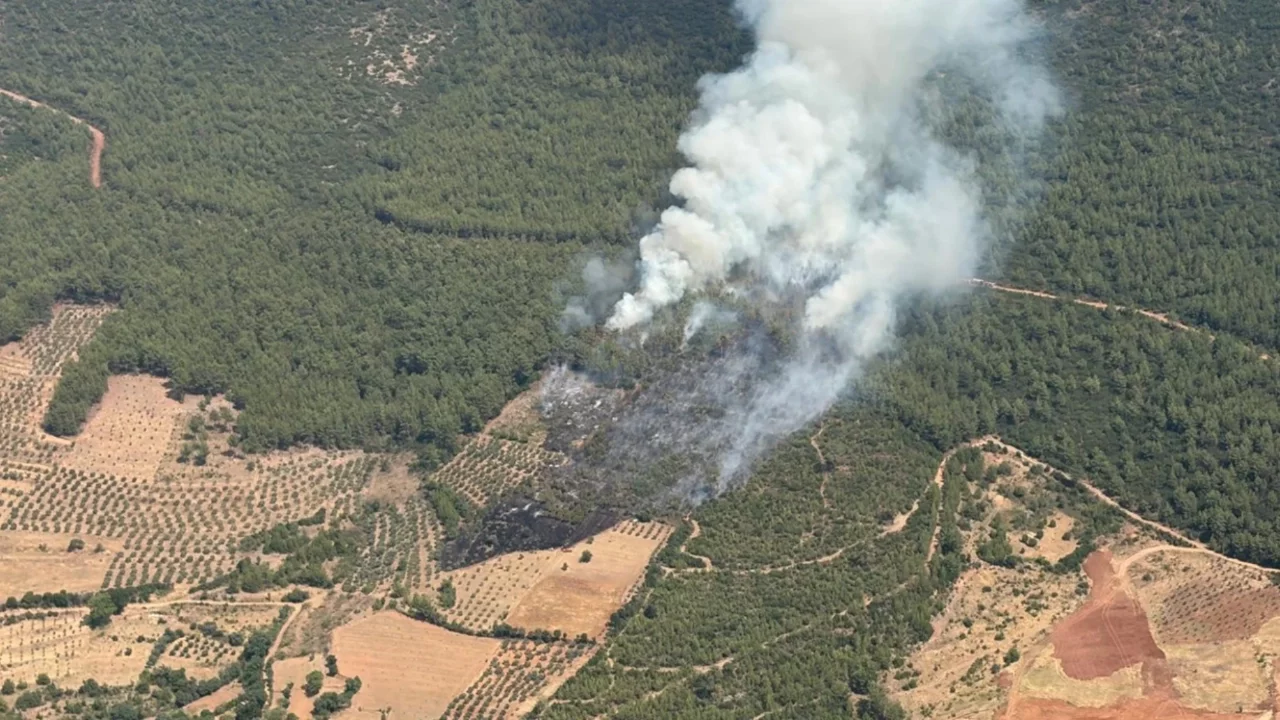 Muğla'da orman yangını
